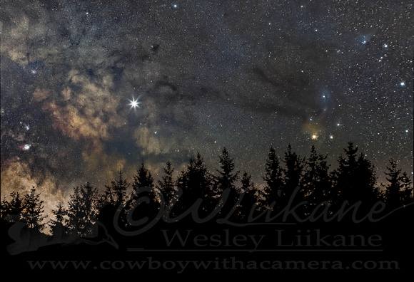 Milky Way over my Backyard