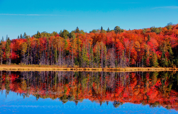 Refection of Fall