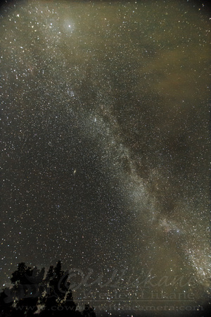 Andromeda and The Milky Way
