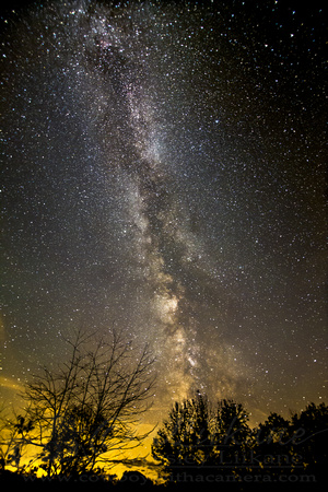 Light Polluted Milky Way