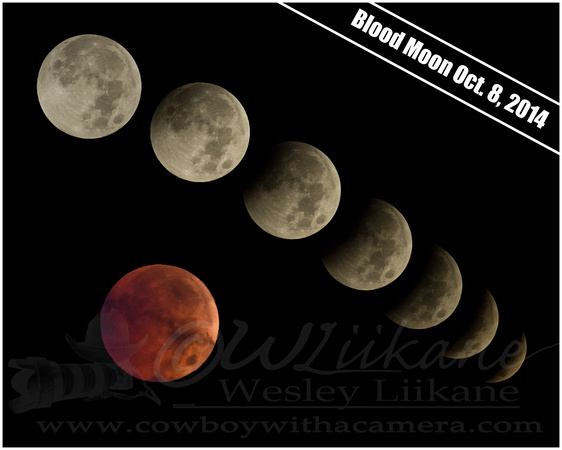 Lunar Eclipse Transition - Blood Moon