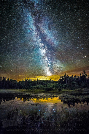 Milky Way Marsh